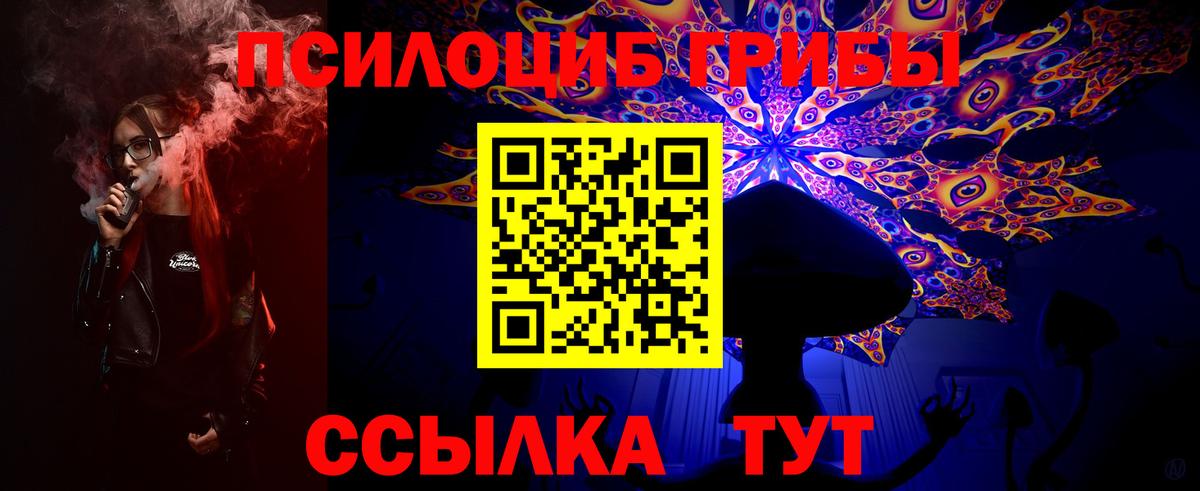 Нурлат  Псилоцибиновые грибы MAGIC MUSHROOMS  Вход с VPN 